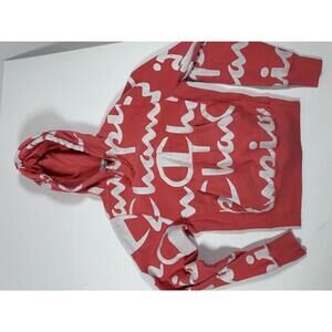 Champion Reverse Weave Small Hoodie Sweatshirt